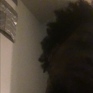 Meet your Posher, D’angelo